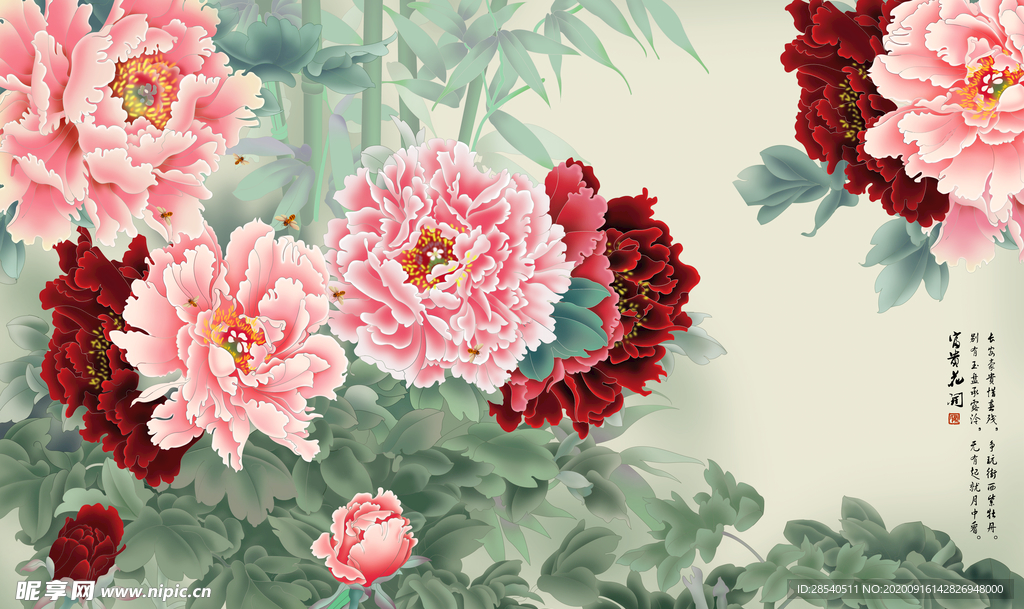 牡丹花 花开富贵图片