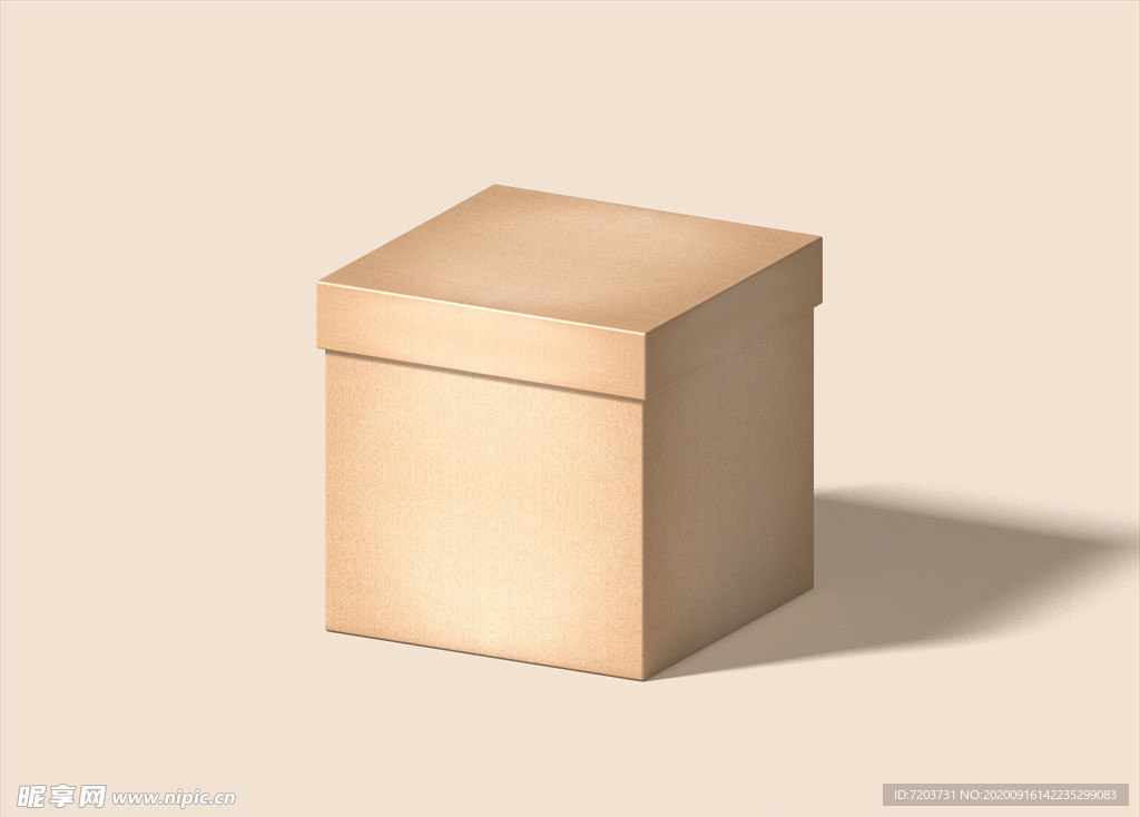 方盒 品牌包装样机