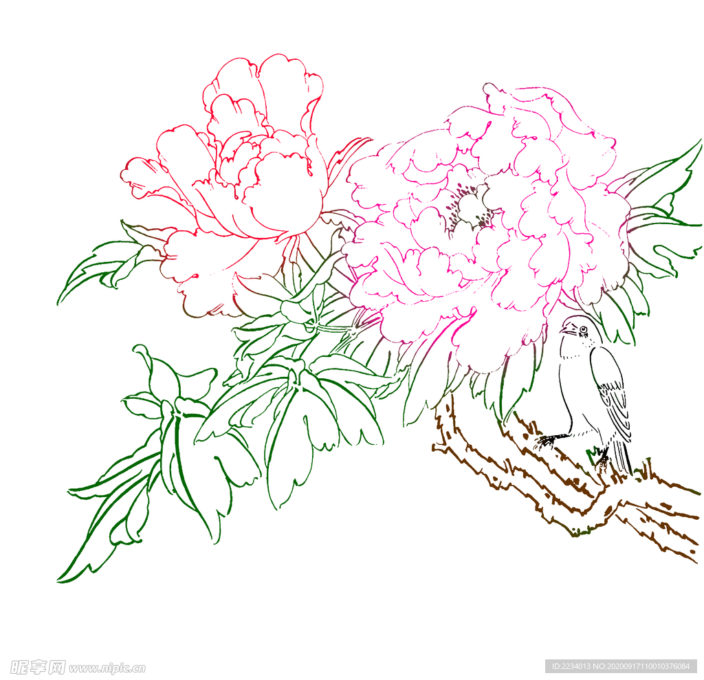 高清透明工笔画线稿之牡丹小品