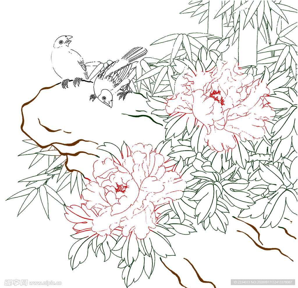 高清透明工笔画线稿之牡丹争艳