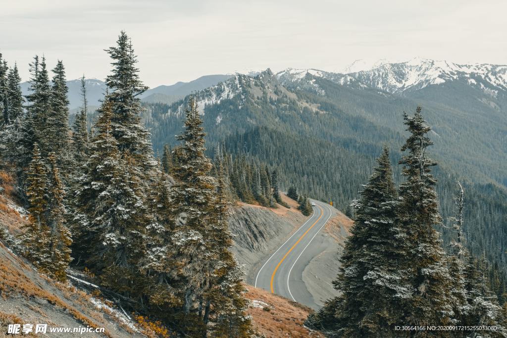 森林公路雪山树木素材
