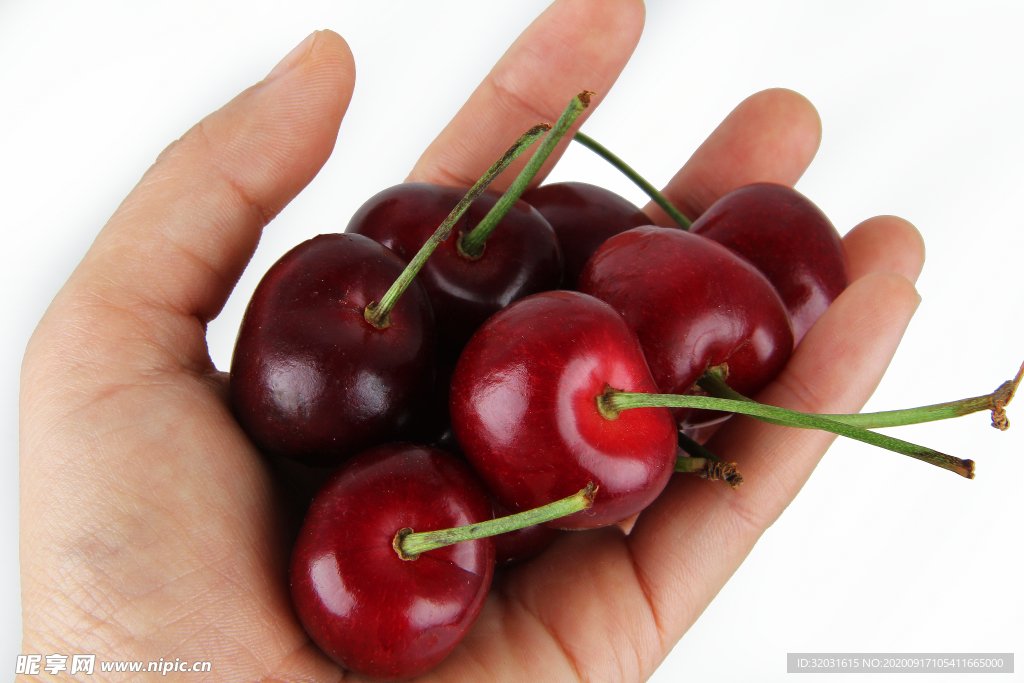 新鲜水果 樱桃  静物拍摄