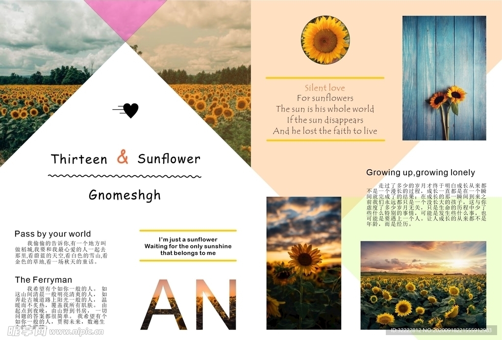 向日葵画册