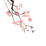 梅花 花朵 水墨画  粉色花朵