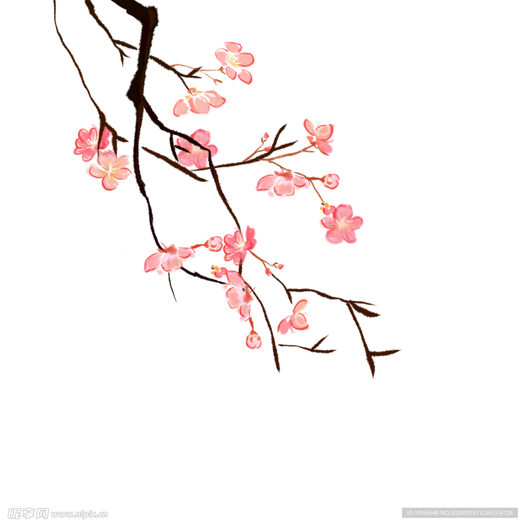 梅花 花朵 水墨画  粉色花朵