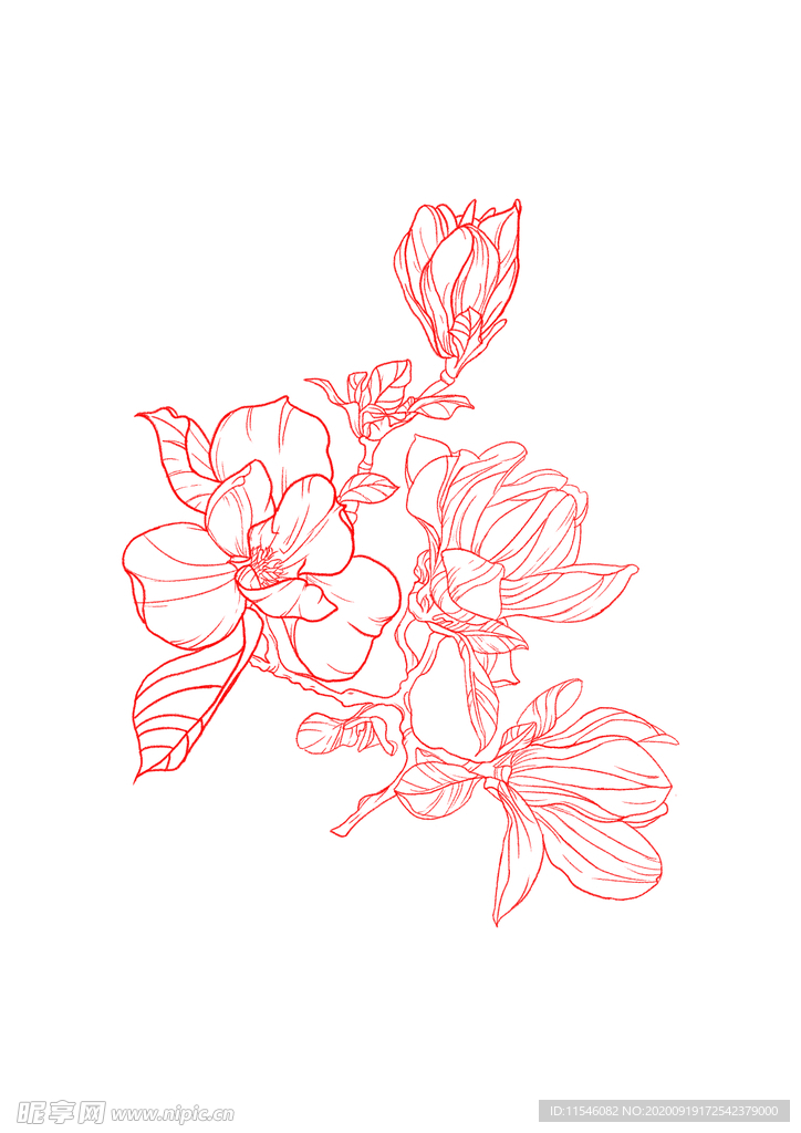 白描花卉线稿分层