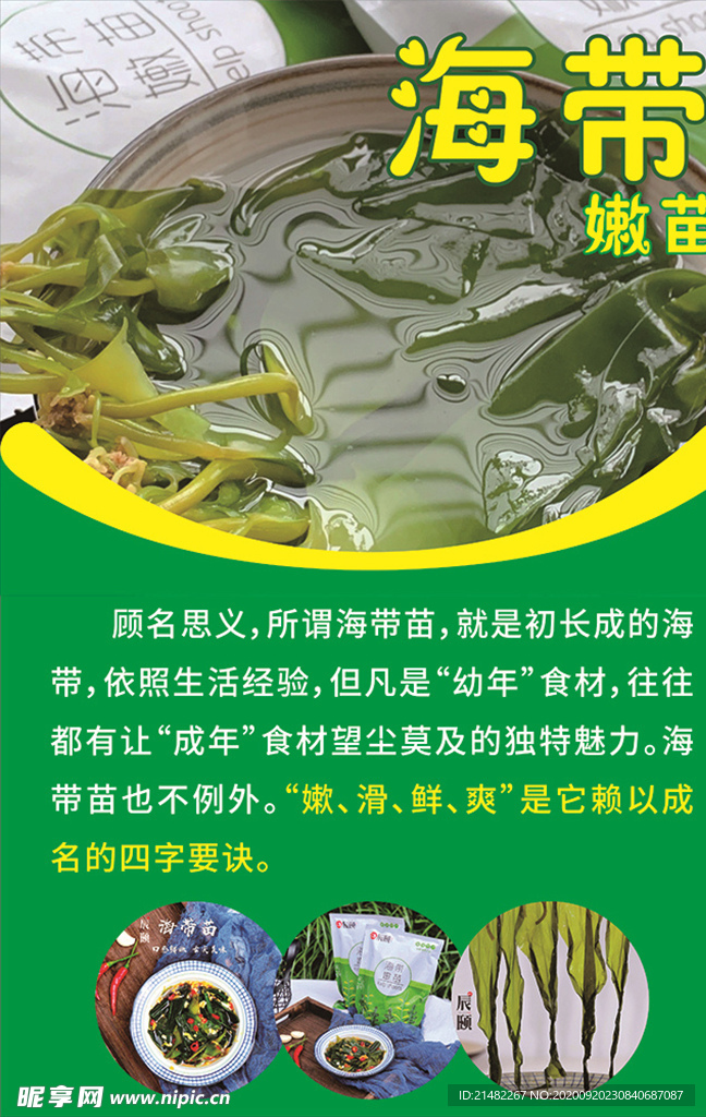 海报 绿色海报 绿色背景 海带