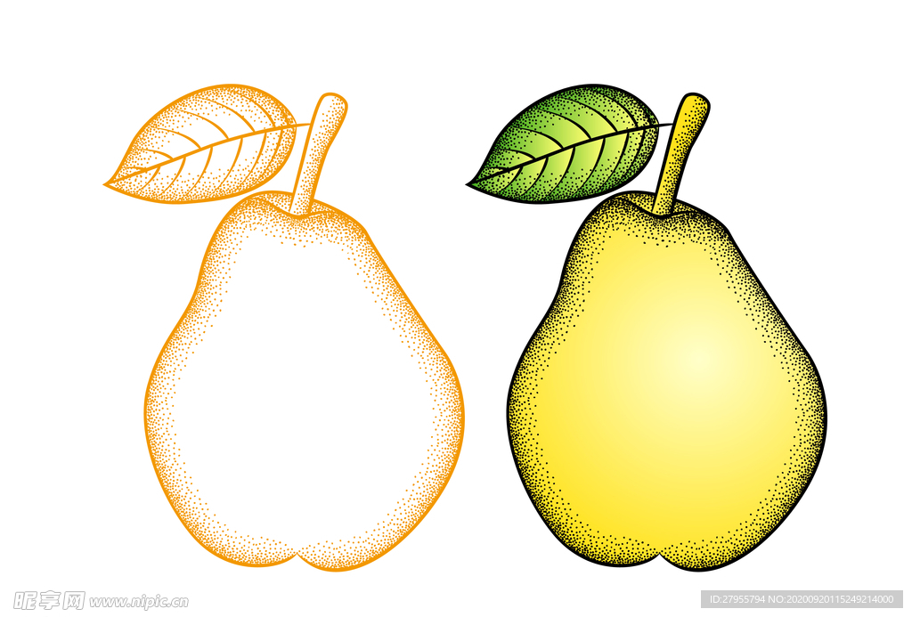 手绘梨