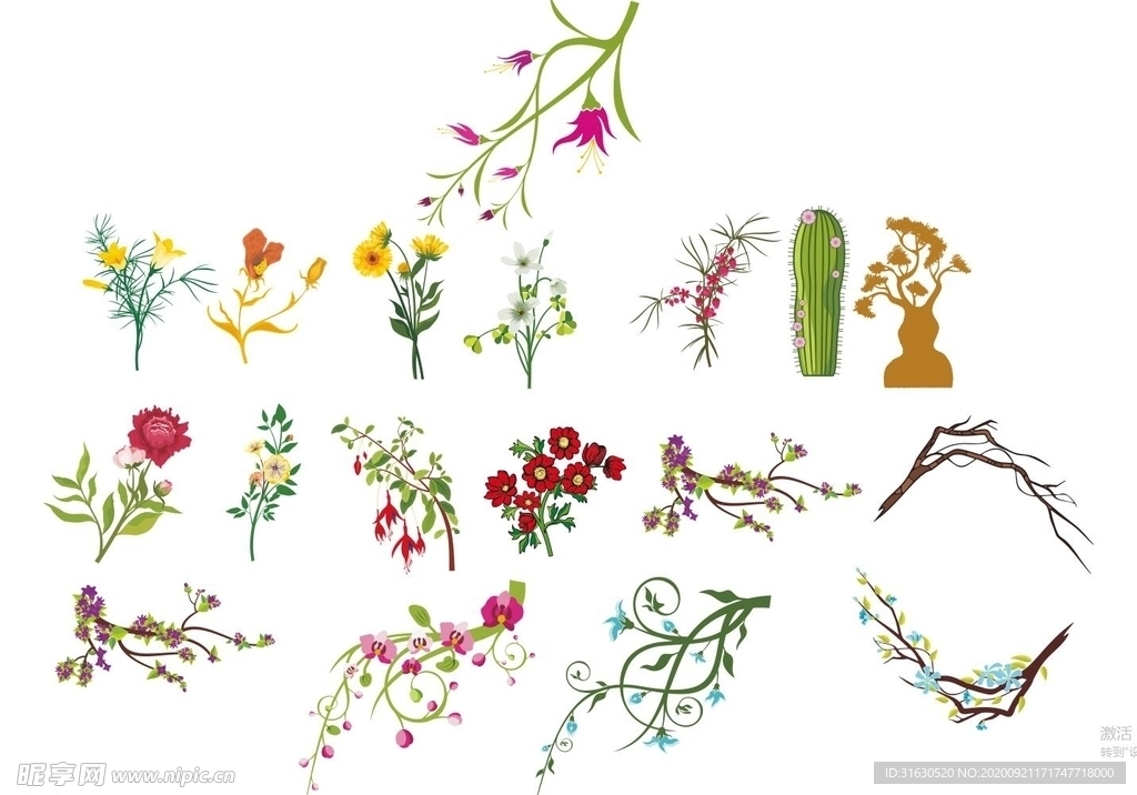 矢量花大全