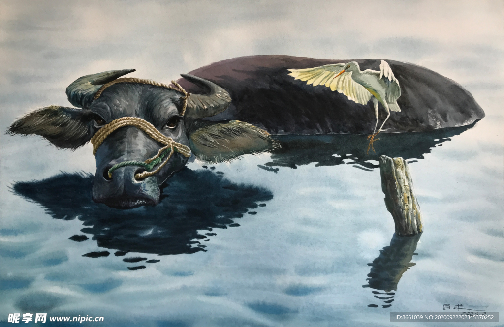 资水情 牛 水彩