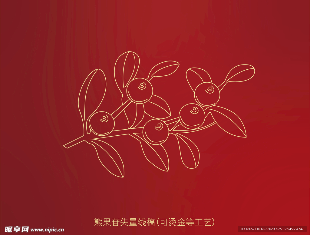 熊果苷线描风格