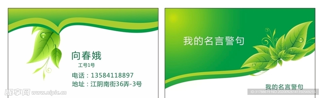 绿色名片