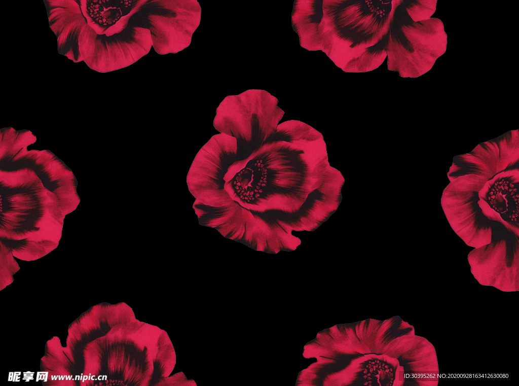 玫瑰 数码 大牌 印花 爆款