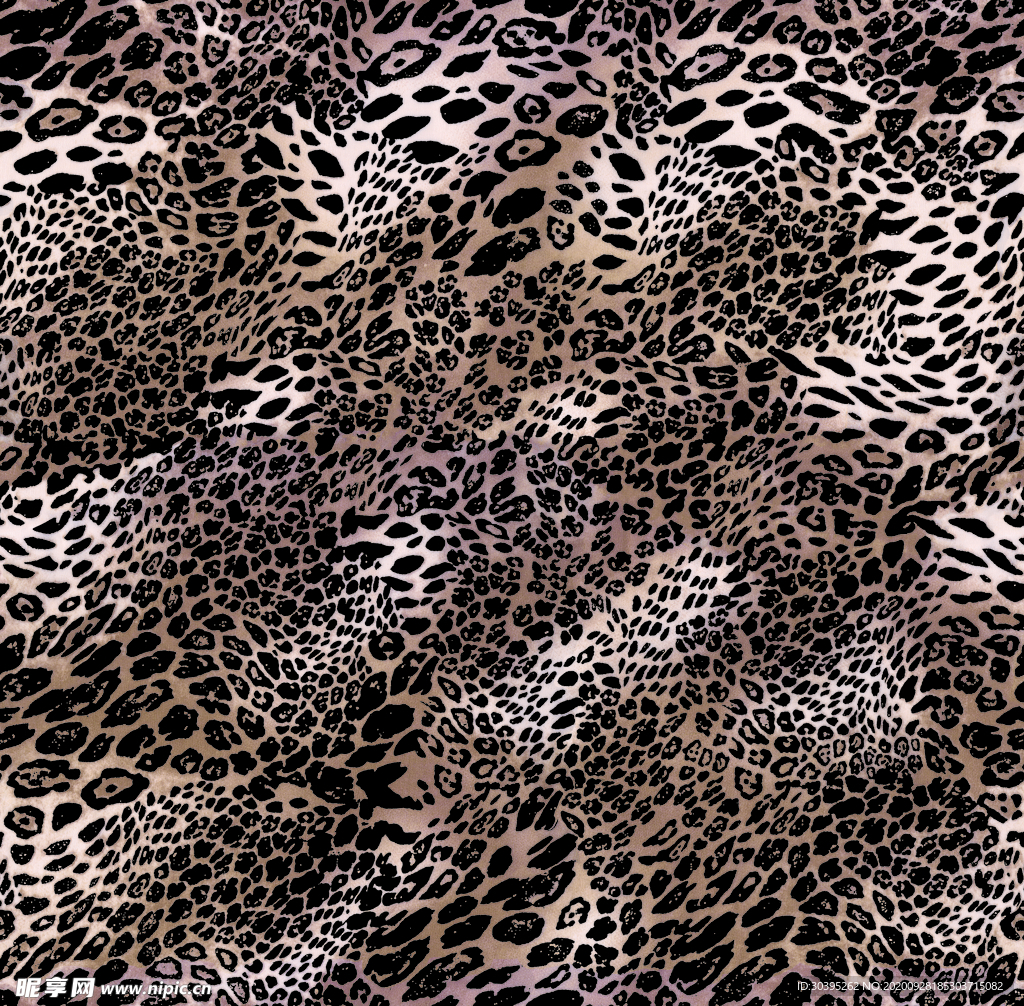 数码 豹纹 大牌 印花 爆款