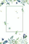 手绘植物边框