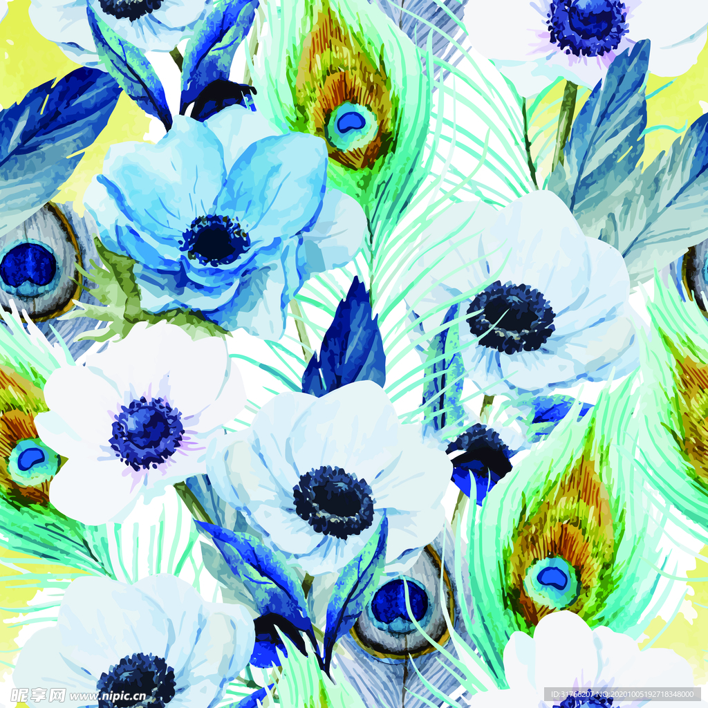 水彩花 羽毛背景