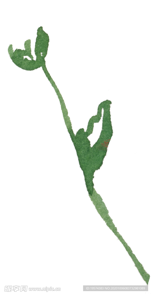 花萼 手绘 图形 简笔画