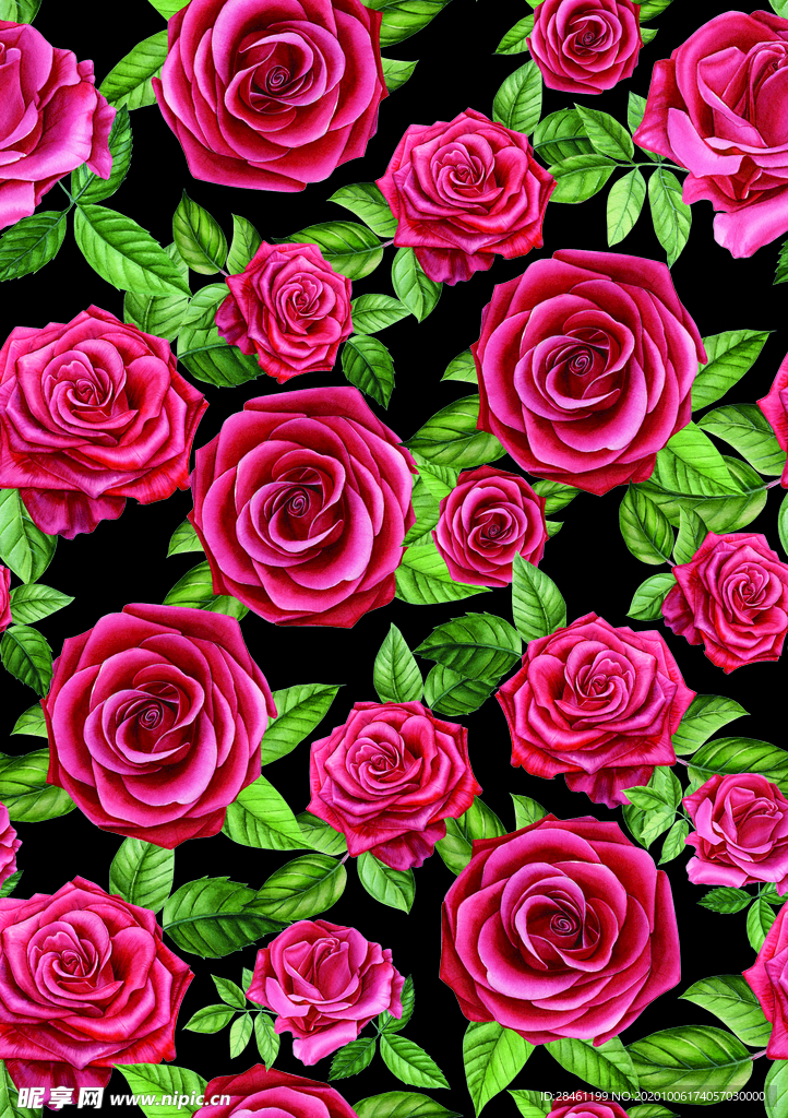 手绘花 玫瑰花 大牌花 乱花