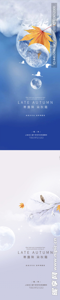 霜降枫叶系列稿