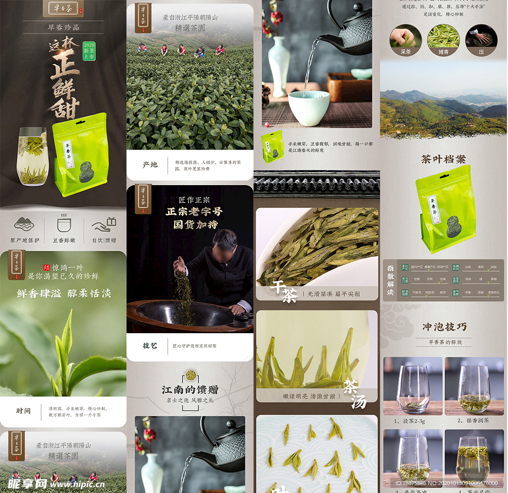 绿茶早香茶详情页