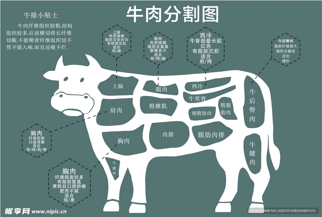 牛肉分割图