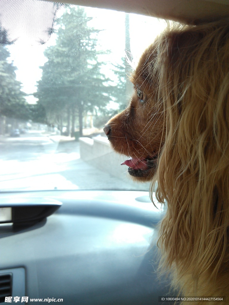 坐着旋旋到老家