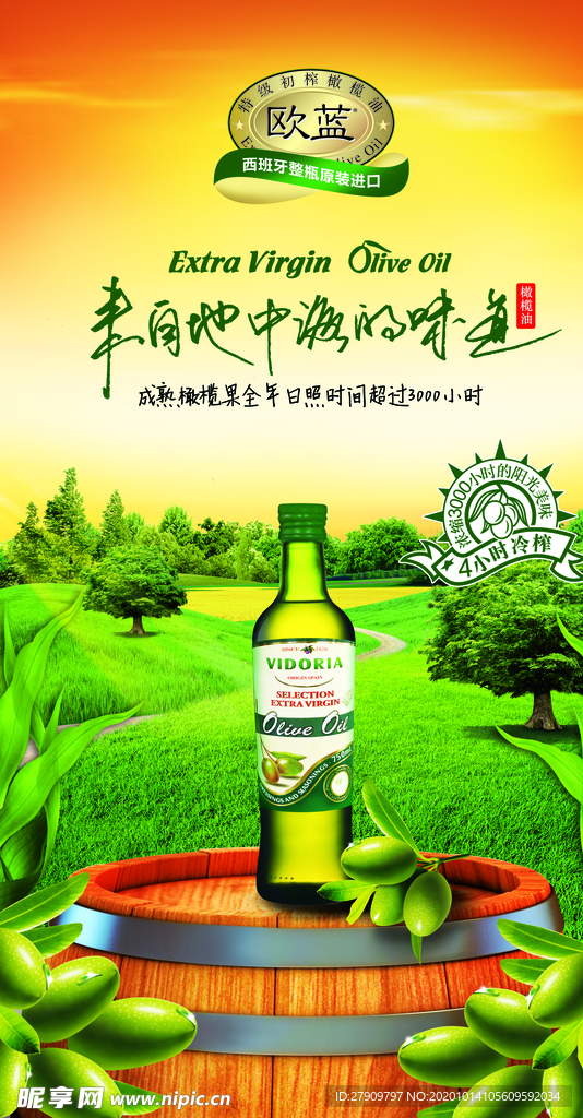 龙大橄榄油海报 欧蓝橄榄油
