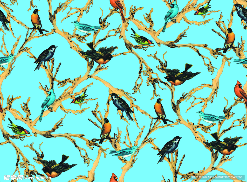 花鸟 树枝 女装