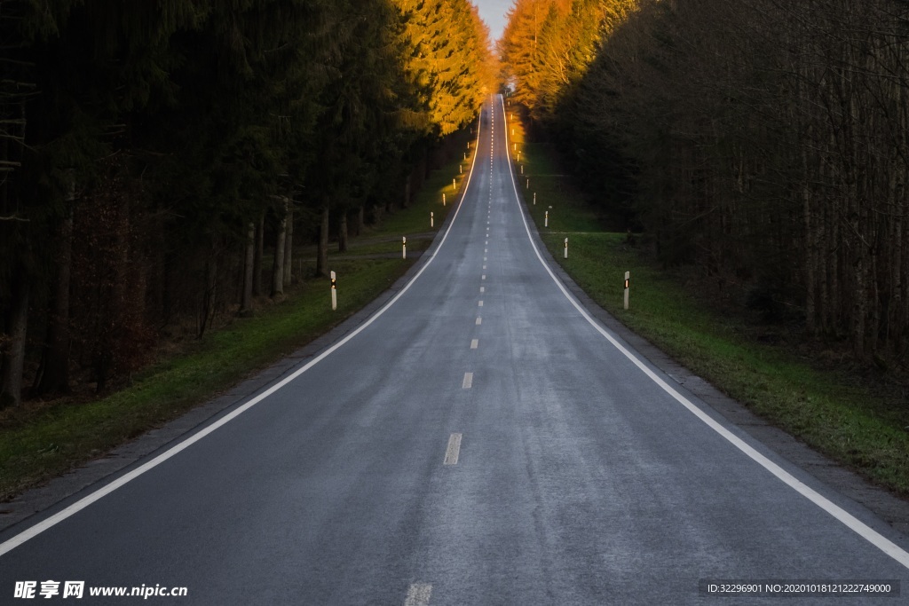公路背景  树木