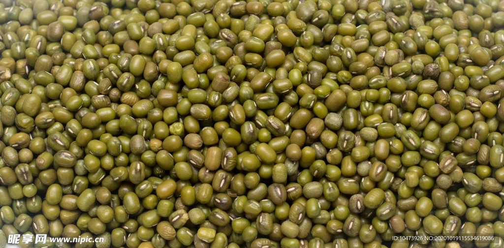 绿豆摄影图片