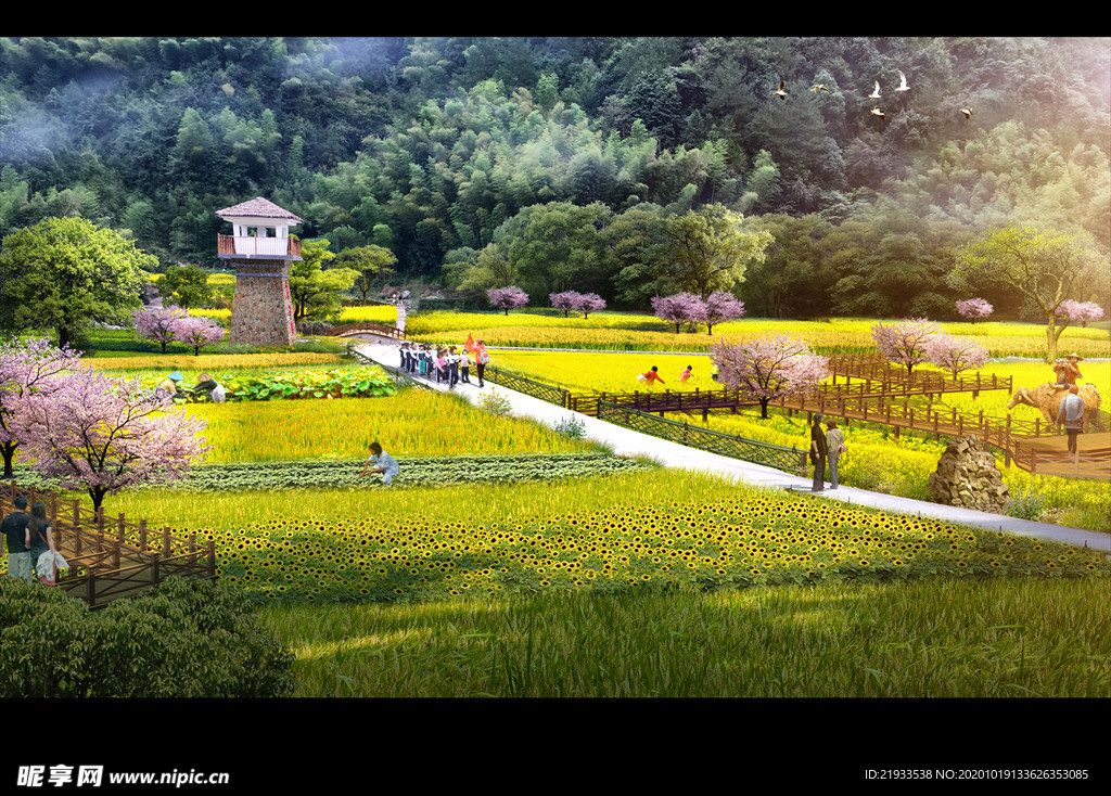 乡村建设稻田花海效果图