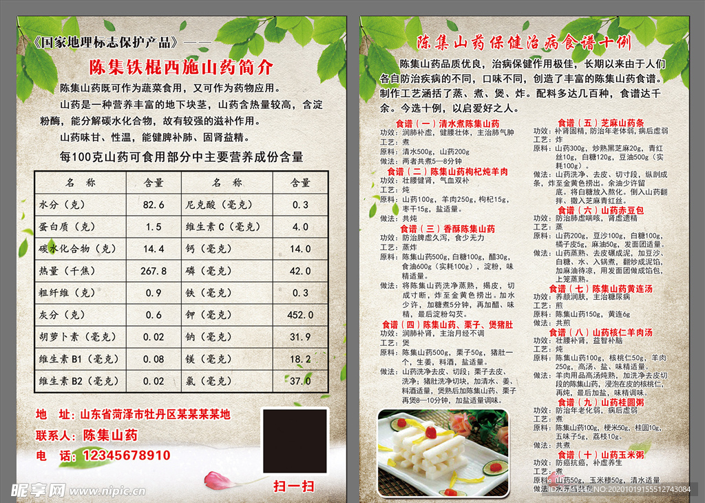 陈集山药 陈集铁棍西施山药