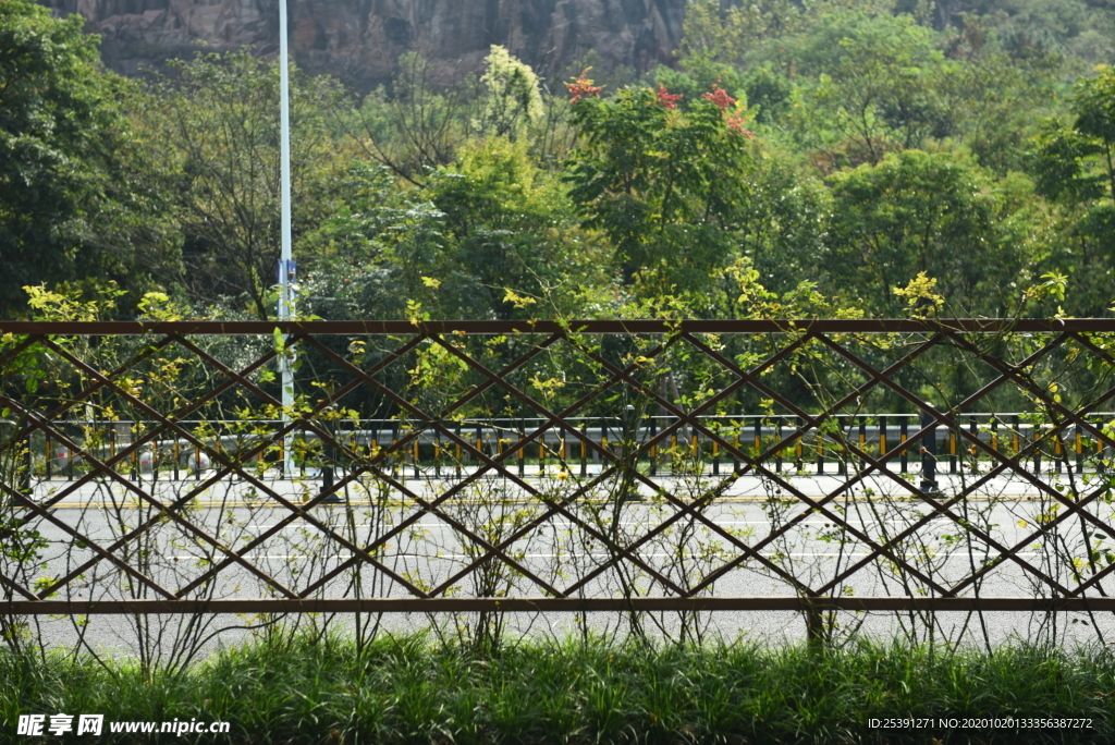 菱形格子护栏（南山路取景）