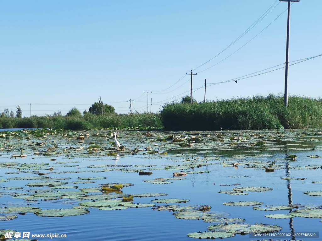 白洋淀景区