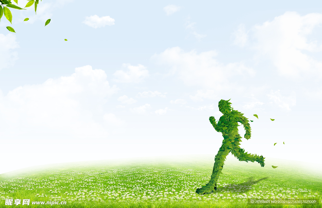 小雏菊 草地蓝天白云图层