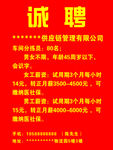 招聘广告60X80CM