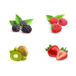 矢量水果猕猴桃 草莓