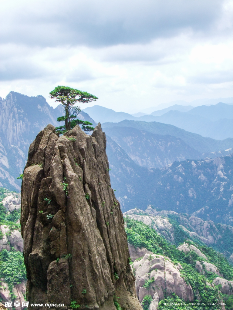 迎客松山峰旅游旅行背景海报素材