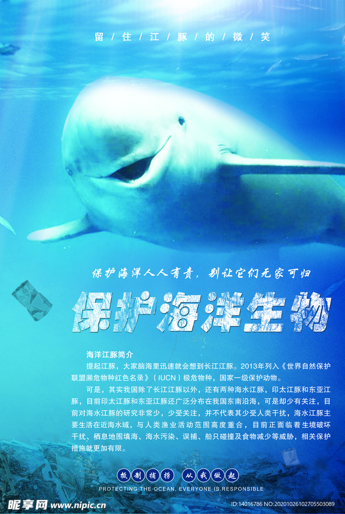 海洋保护