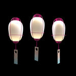 阴阳师百间牌 小鹿男 灯笼素材