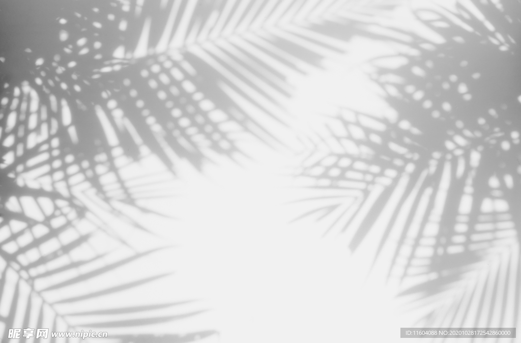 现代简约树叶剪影灰色系背景图案