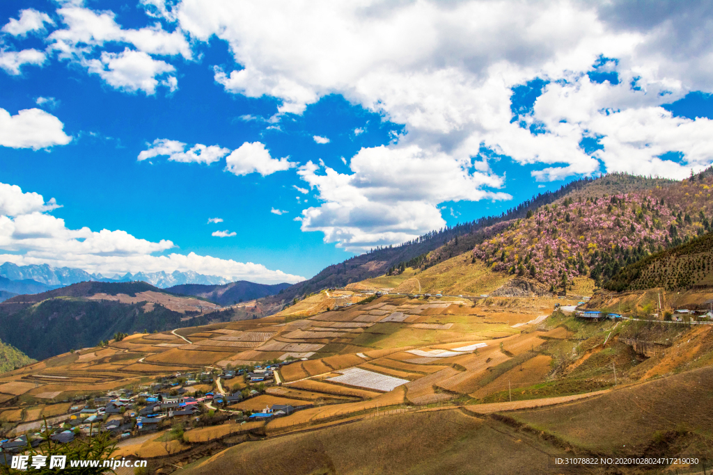 大自然风景摄影
