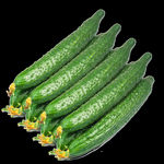 黄瓜免扣素材