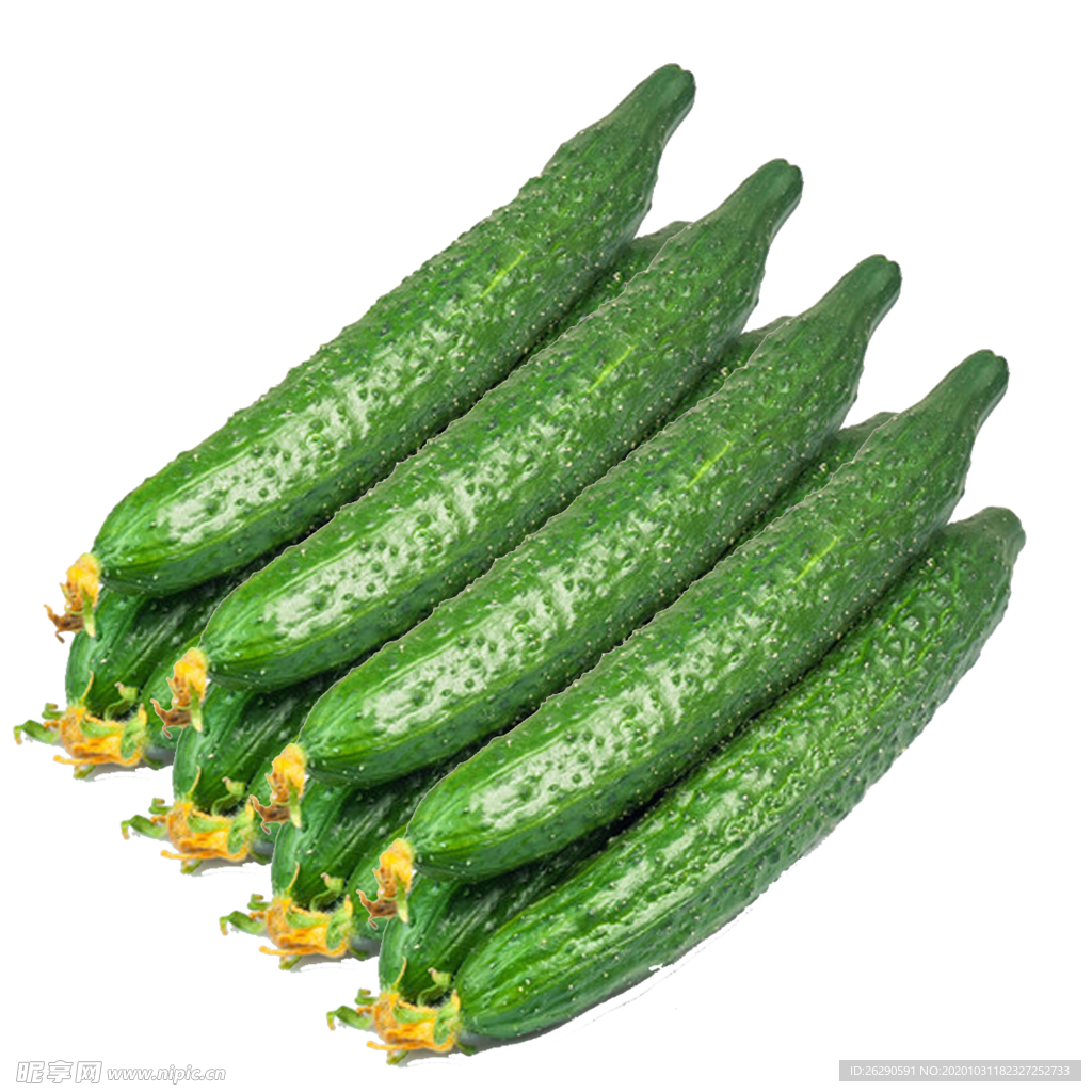 黄瓜免扣素材