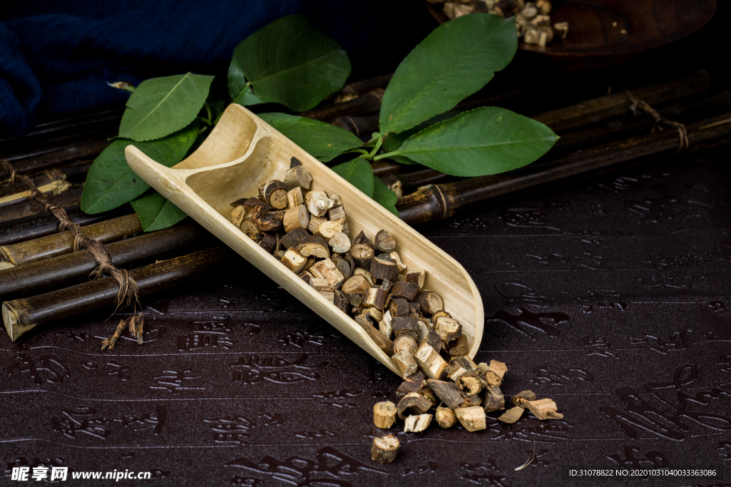 中医药材摄影图