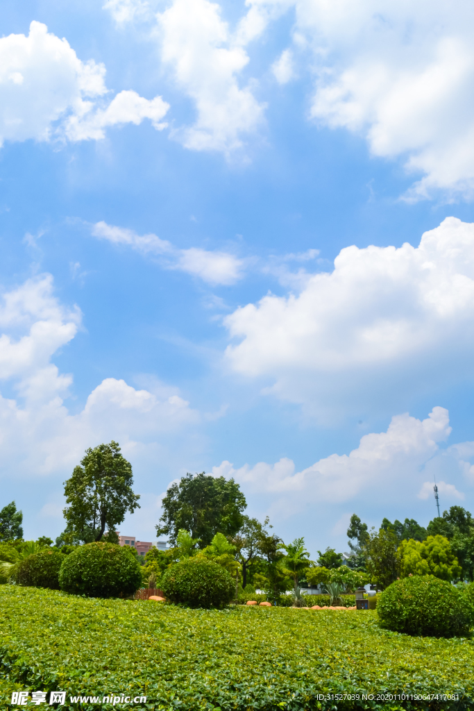 蓝天白云和草地