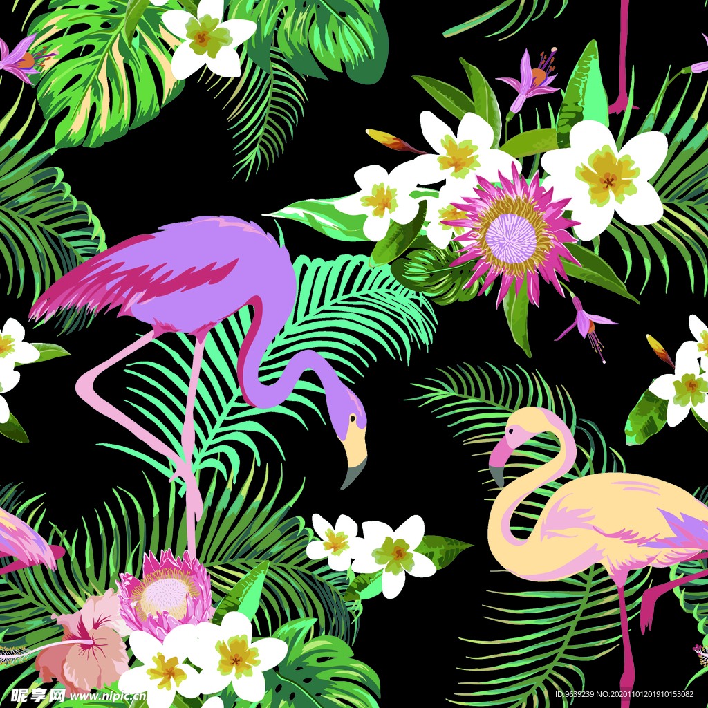 火烈鸟热带植物