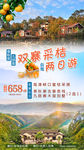 蜜桔采摘两日游秋游海报
