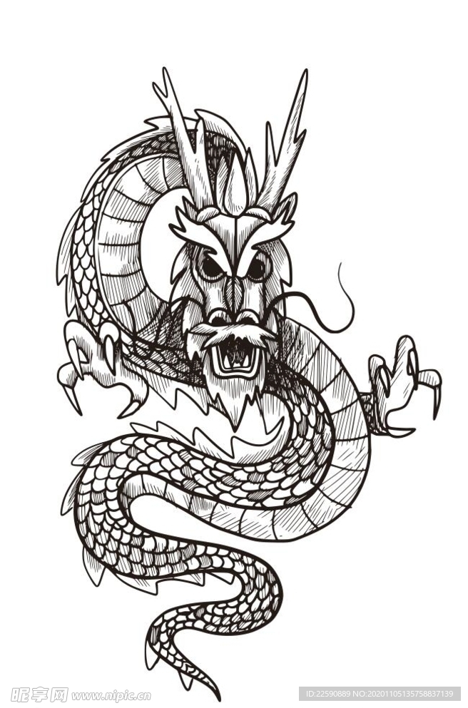 飞龙手绘简笔画