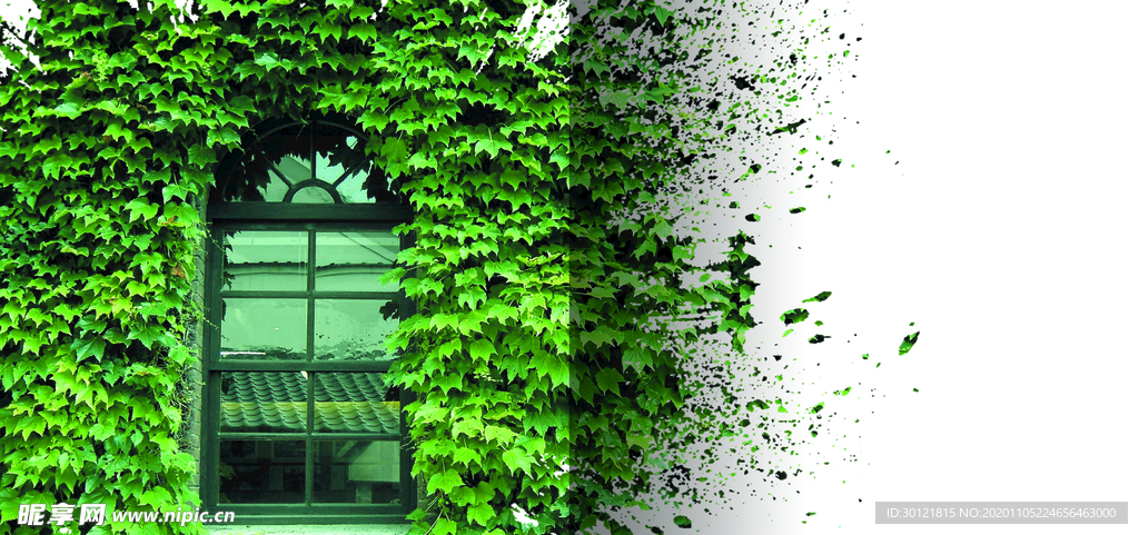 毕业相册背景 聚会册背景 同学